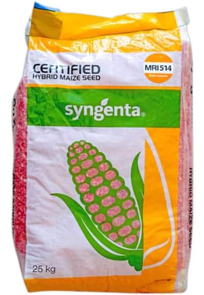 Syngenta maize seed MRI 514 10kg
