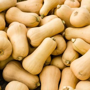 Butter Nut