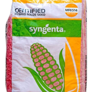 Syngenta maize seed MRI 514 10kg