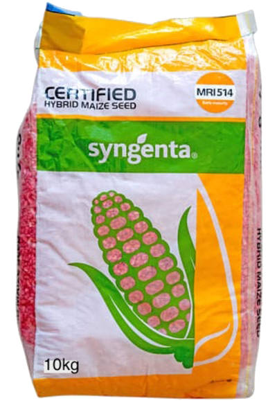Syngenta maize seed MRI 514 10kg